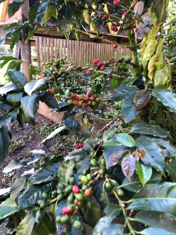 Alojamiento Rural Jardin Consentido Exterior foto