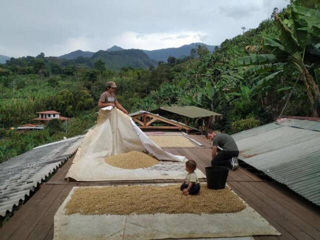 Alojamiento Rural Jardin Consentido Exterior foto