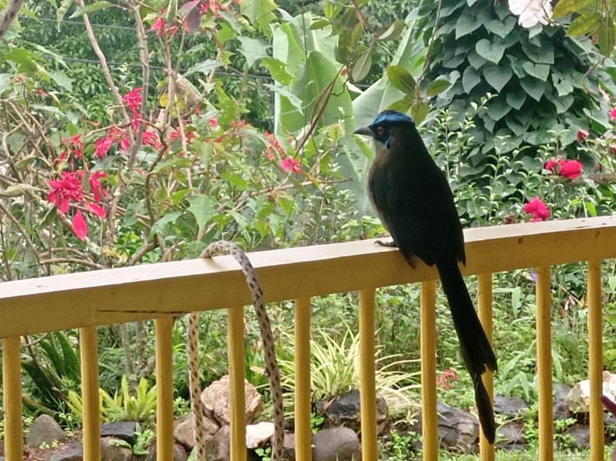 Alojamiento Rural Jardin Consentido Exterior foto