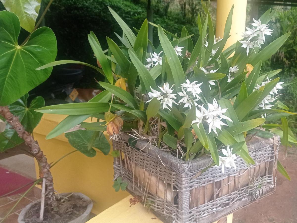 Alojamiento Rural Jardin Consentido Exterior foto