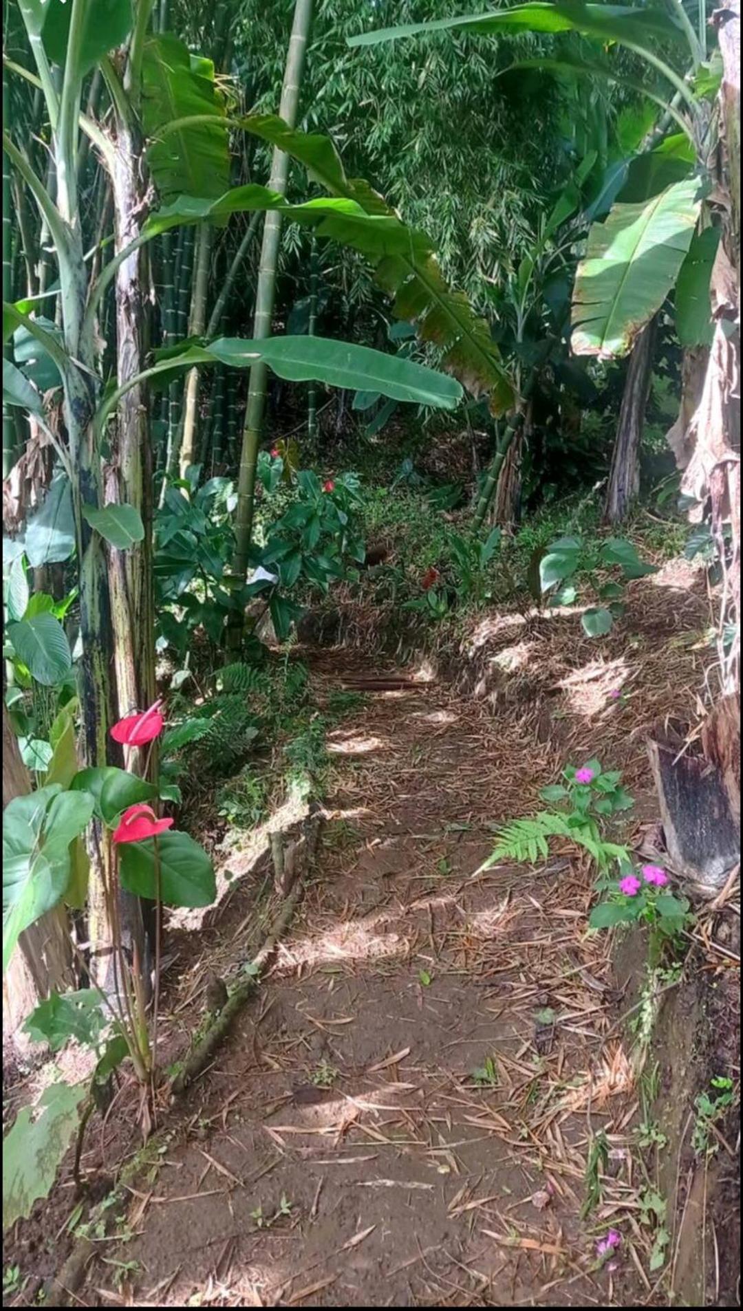 Alojamiento Rural Jardin Consentido Exterior foto