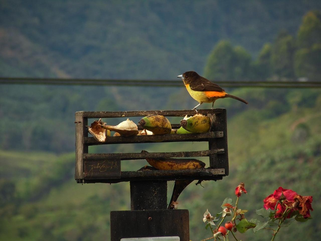 Alojamiento Rural Jardin Consentido Exterior foto