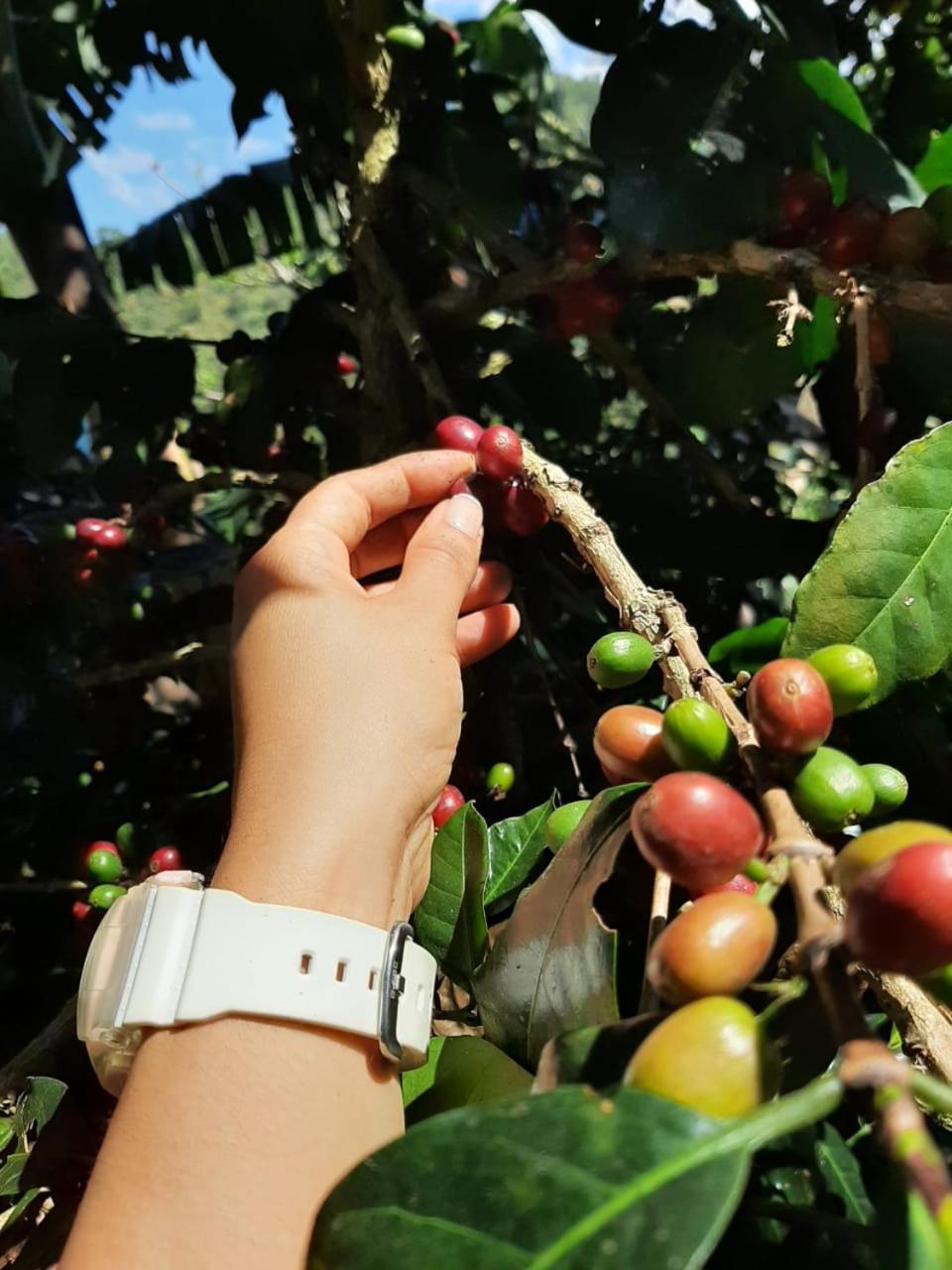 Alojamiento Rural Jardin Consentido Exterior foto