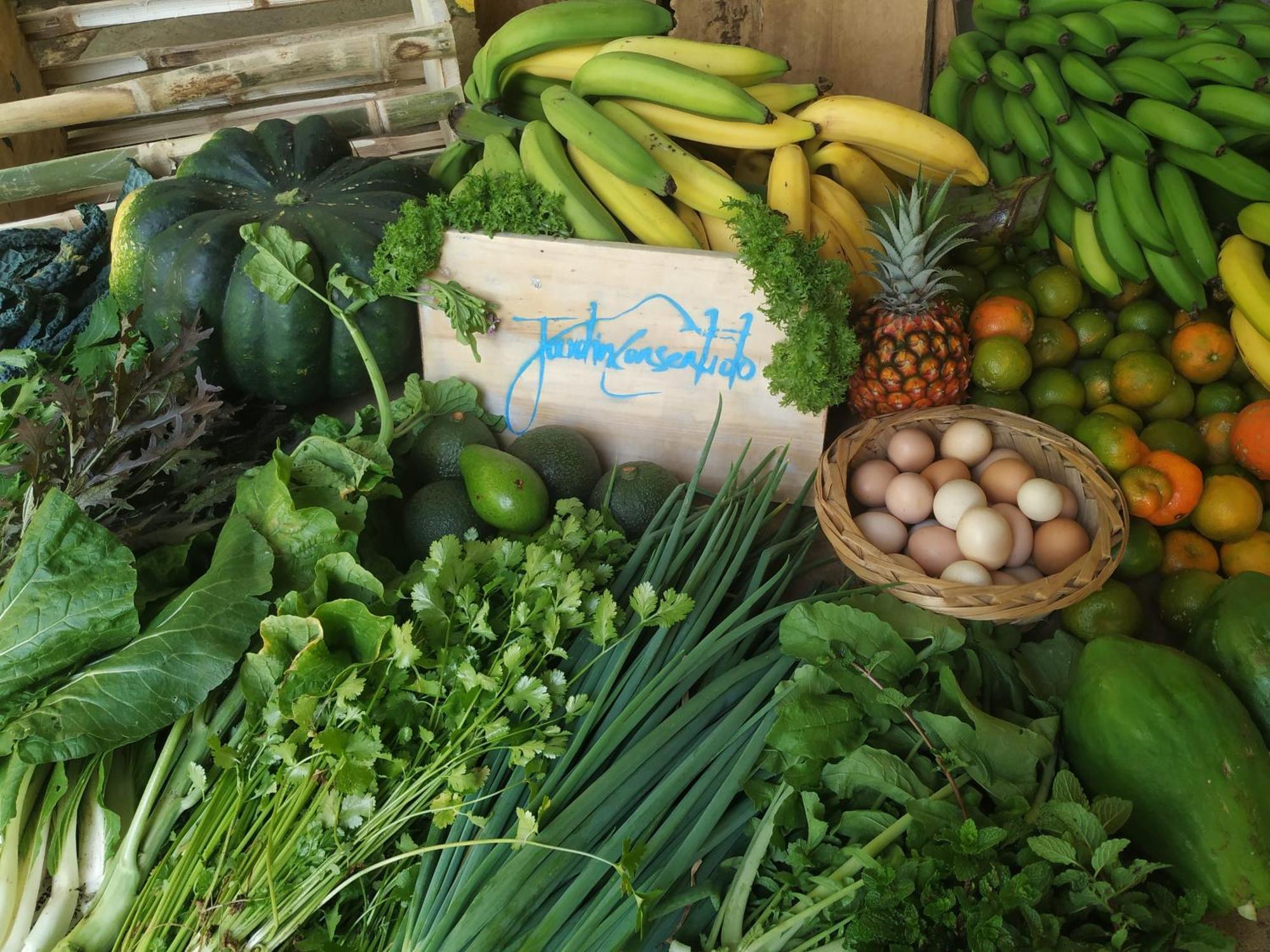Alojamiento Rural Jardin Consentido Exterior foto