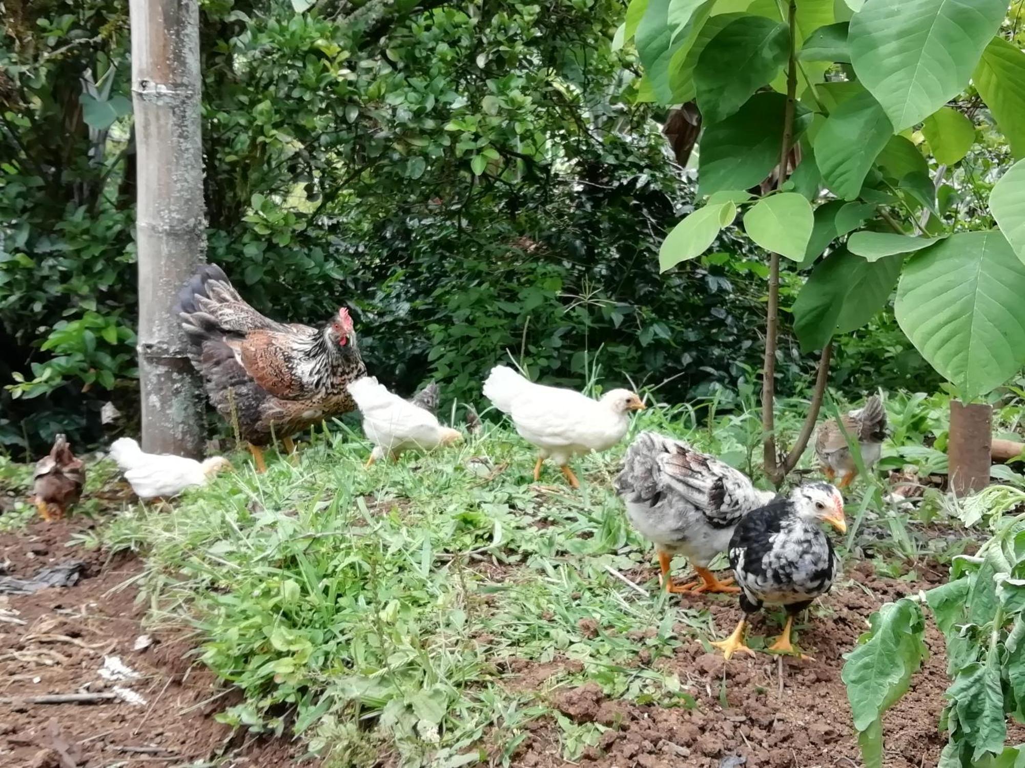 Alojamiento Rural Jardin Consentido Exterior foto