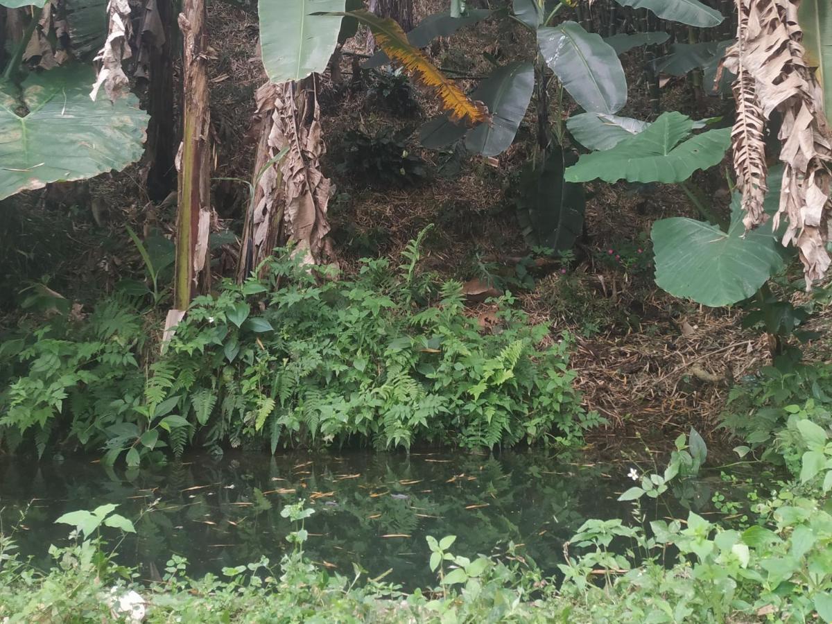 Alojamiento Rural Jardin Consentido Exterior foto